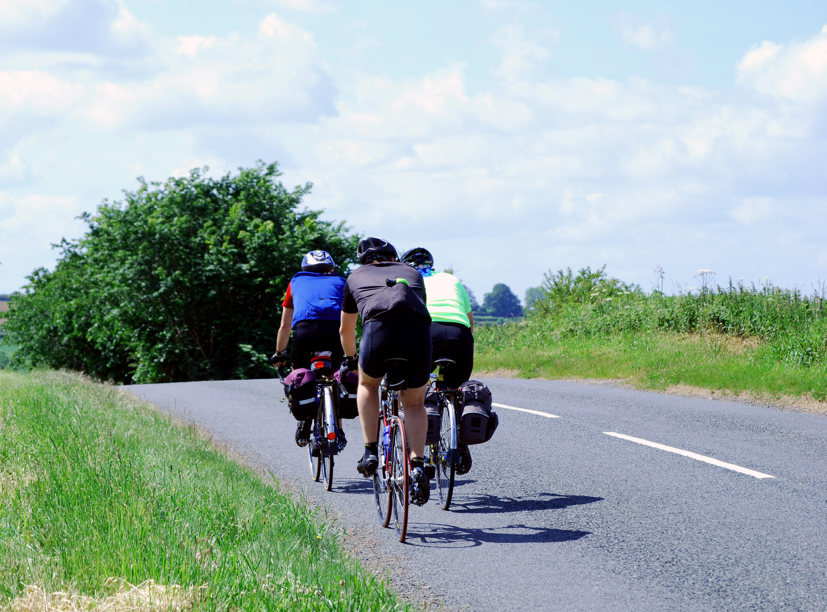 rear view of three road cyclists, dressed in lycra