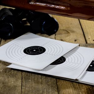 Air rifle targets