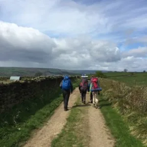 Three hikers with rucksacks walking away from the camera on a dirt lane with dry stone walls to either side