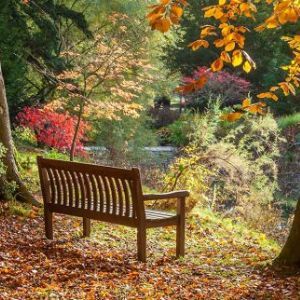 Thorp Perrow Arboretum