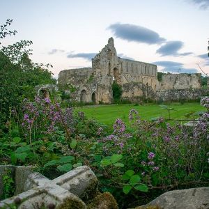 Jervaulx Abbey