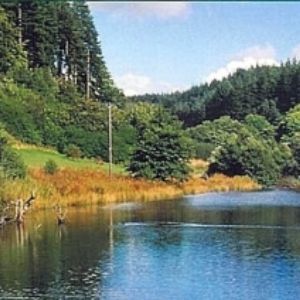view across a lake at dalby with autumnal trees in the background