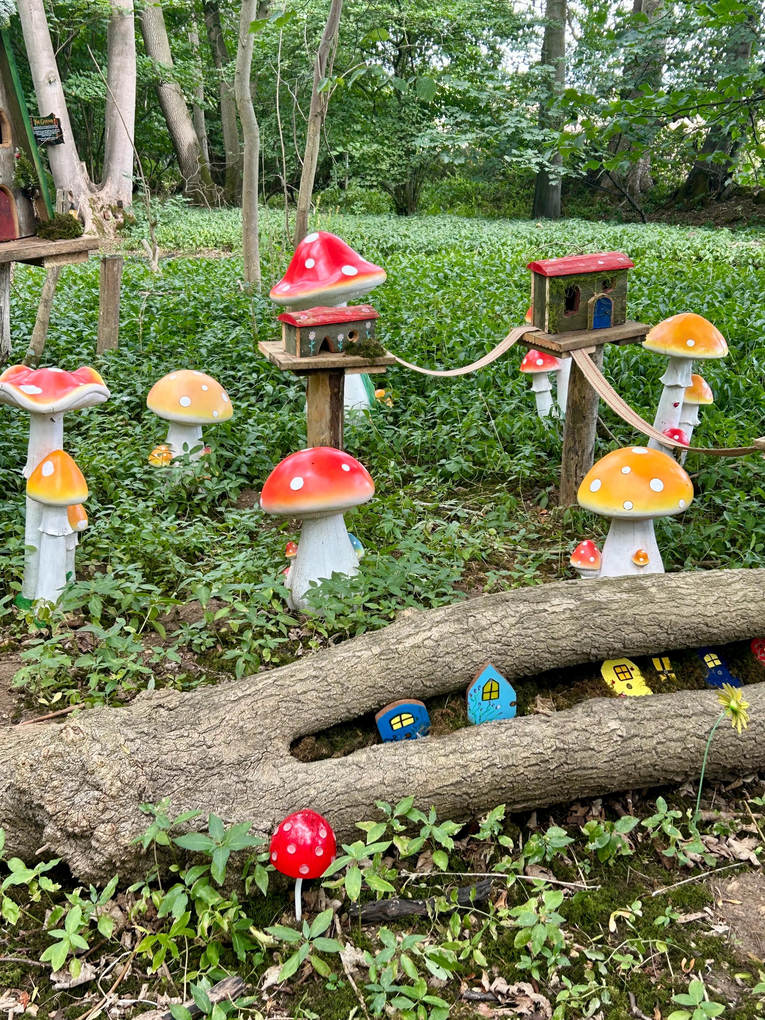 Fairy Viallge with toadstools in the woods