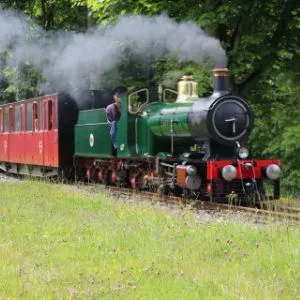 Whistlestop Valley Train on track