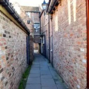 Coffee Yard Snickelway