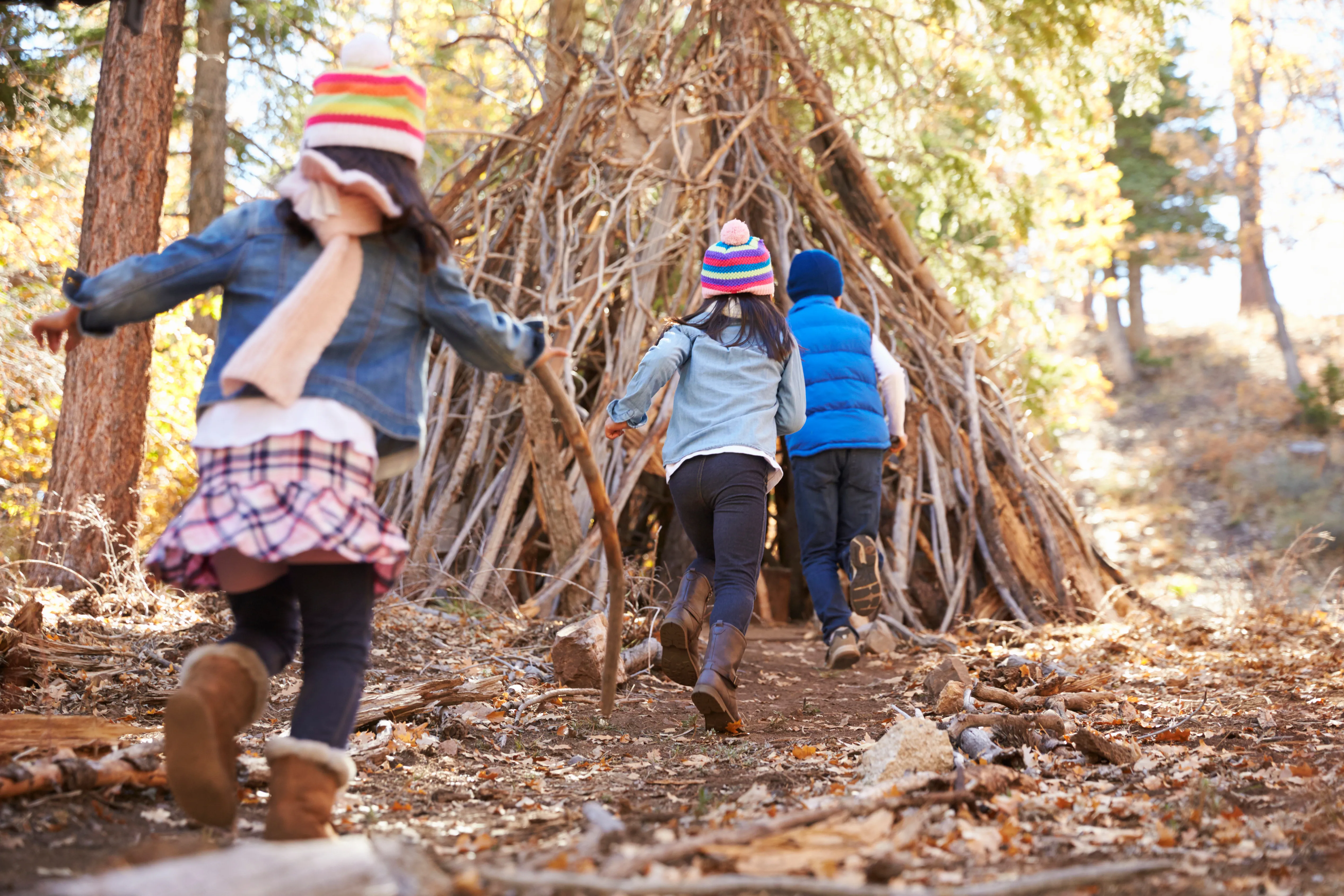 children running towards a den built from sticks in an autumnal wood