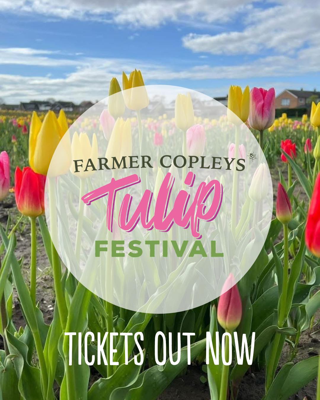 tulip festival sign.