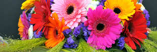 Bunch of very brightly coloured flowers