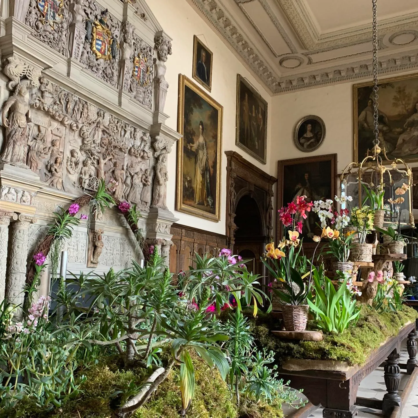Orchids in the great hall at Burton Agnes during the Orchid Festival in April 2026