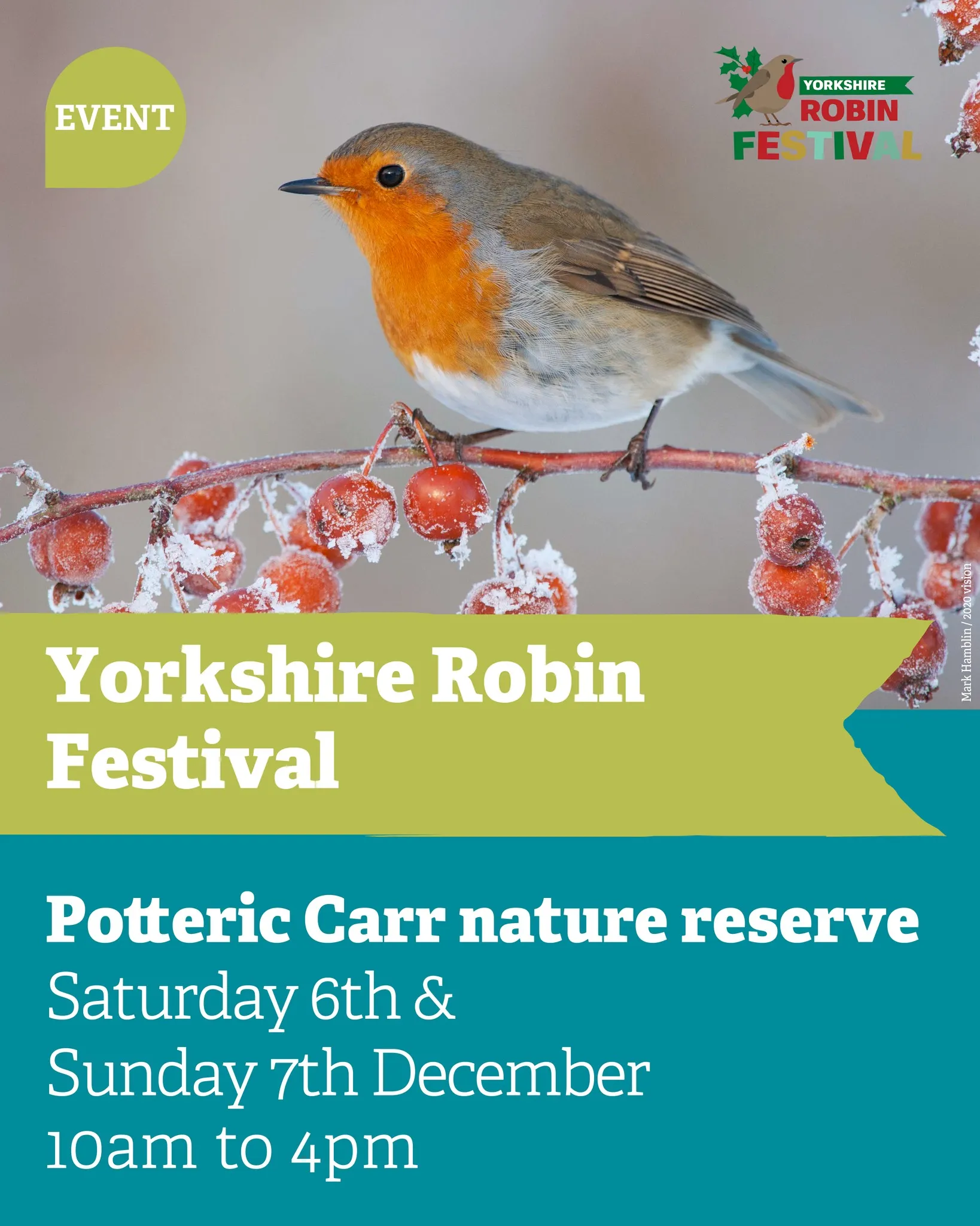 Robin perched on a branch