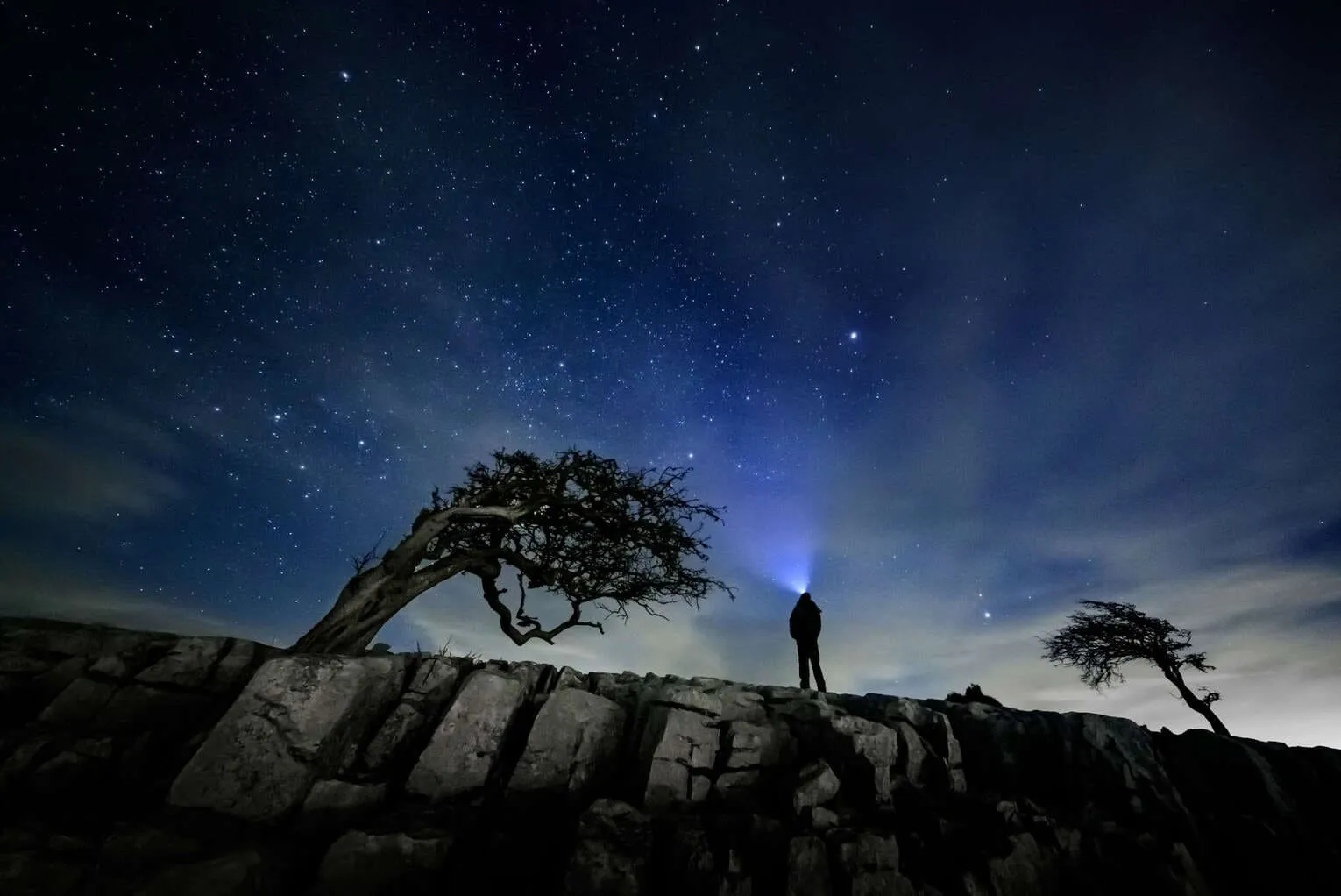man on a hill with a solitary tree, both silhoutted against a starry sky