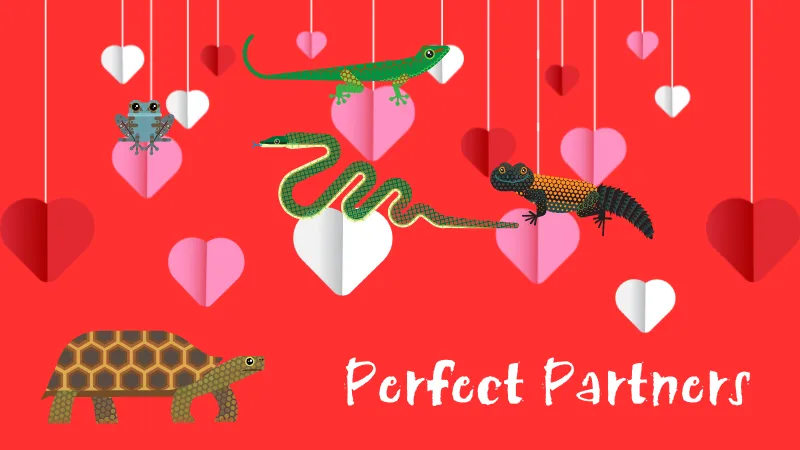 red background with hearts on strings and animals balancing on the hearts. Perfect Partners February Half Term event at Tropical World Leeds