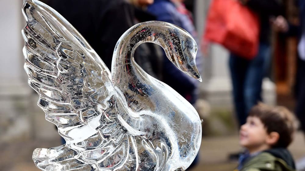Swan ice sculpture.