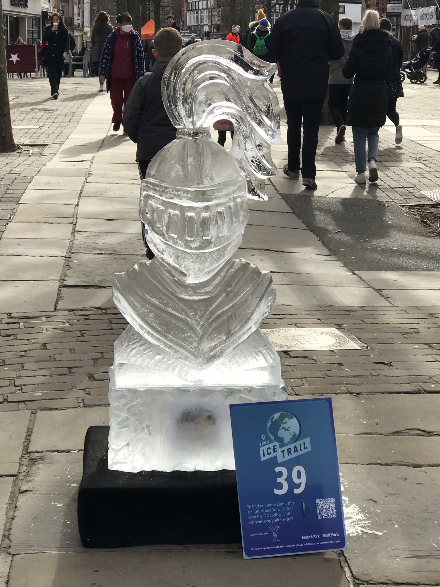 knights helmet ice sculpture