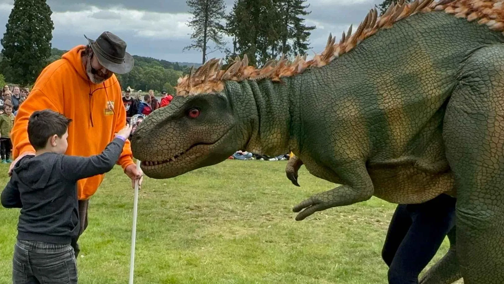 small boy reaching out to touch a dinosaur.