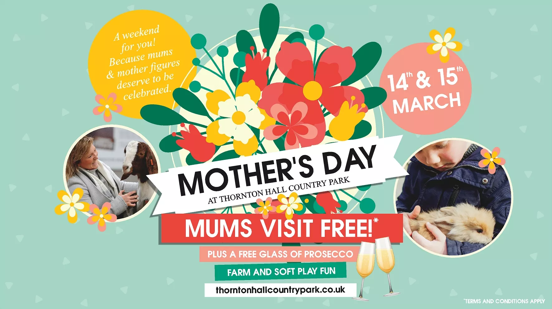 Light blue background with text Mothers Day special and brightly coloured flowers. 