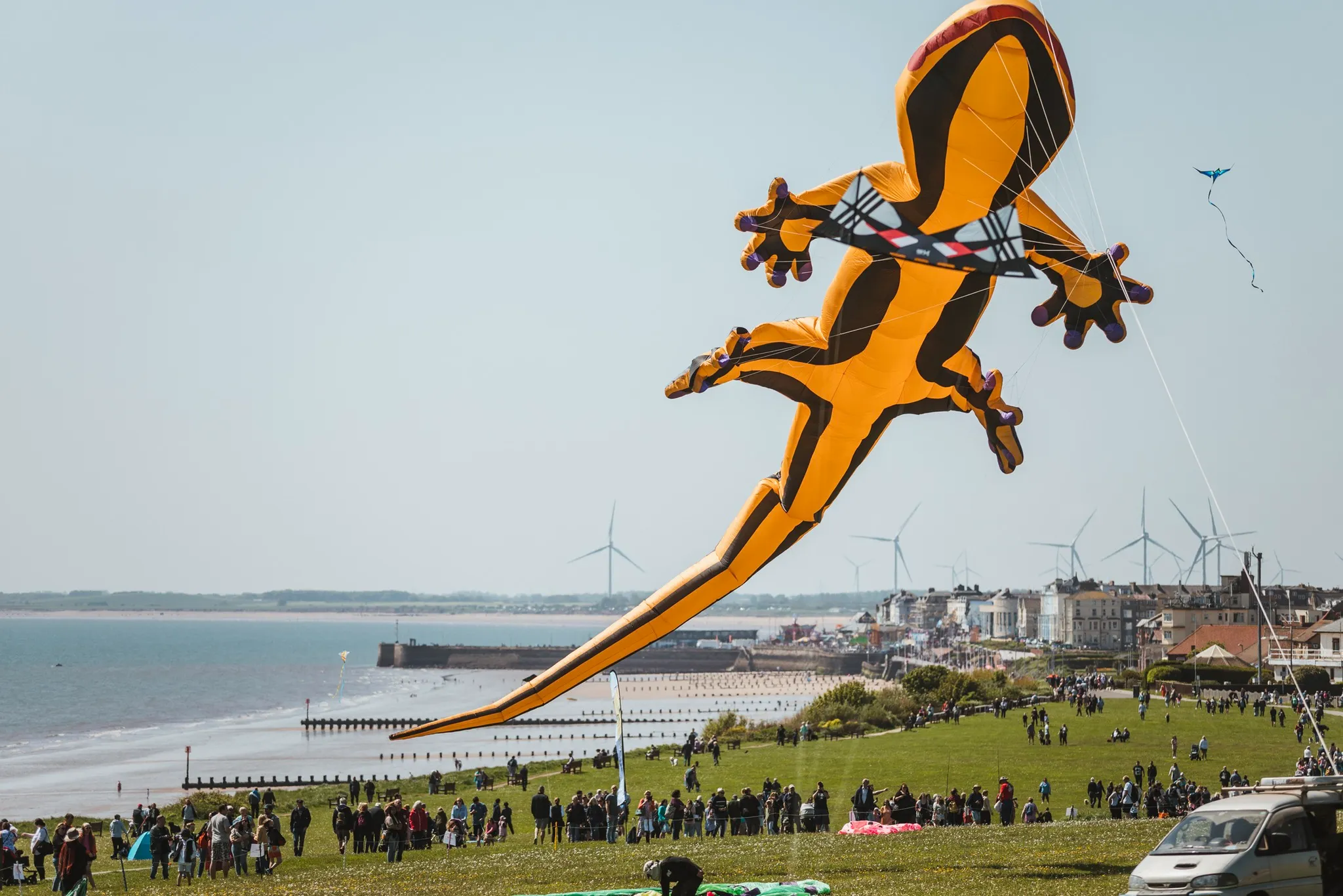 large black and white dog kite flying over Sewerby fields at Bridlington Kite Festival, Yorkshire