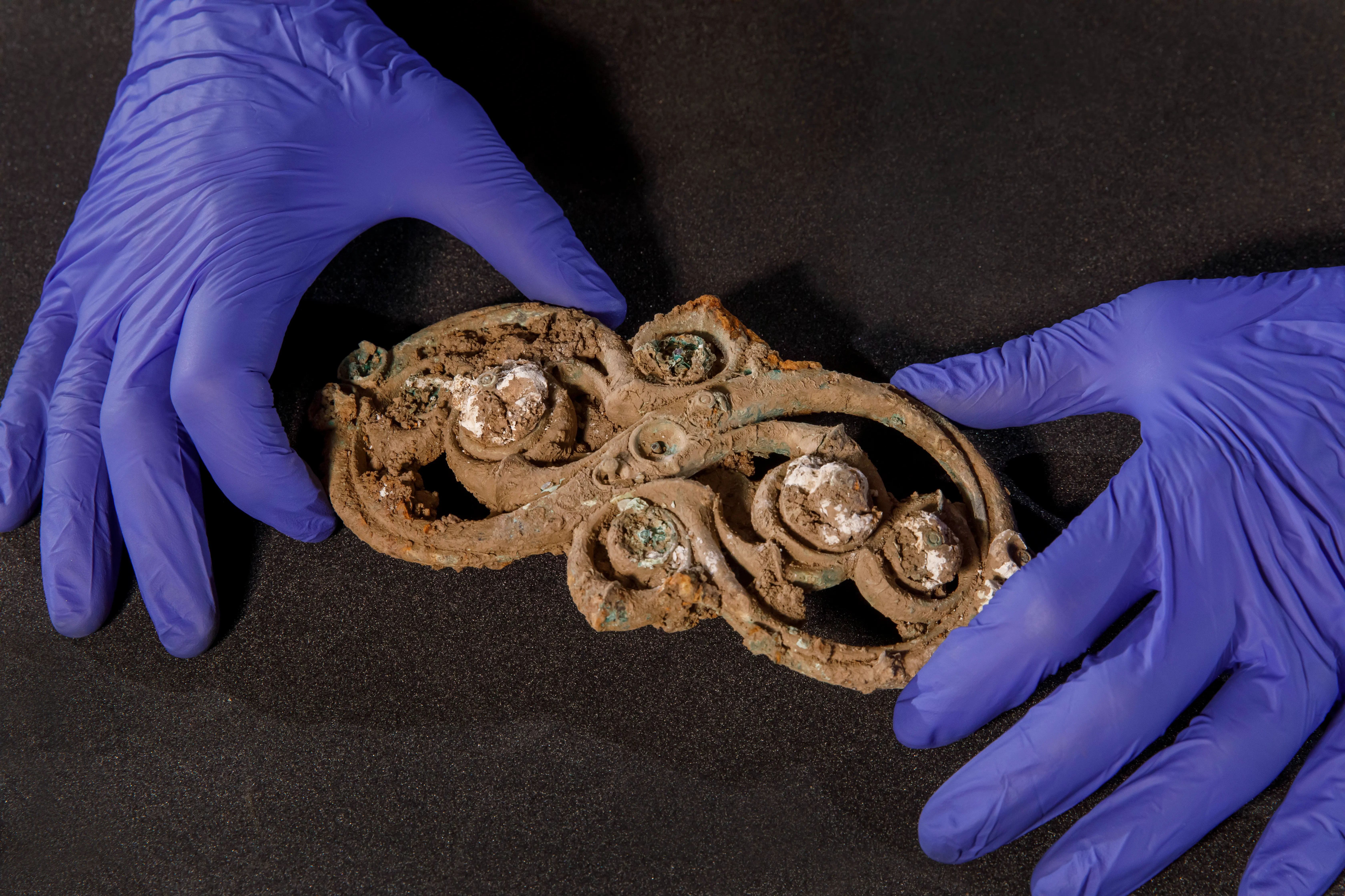 gloved hands holding a rare find int he melsonby horad, photo by Gareth Buddo
