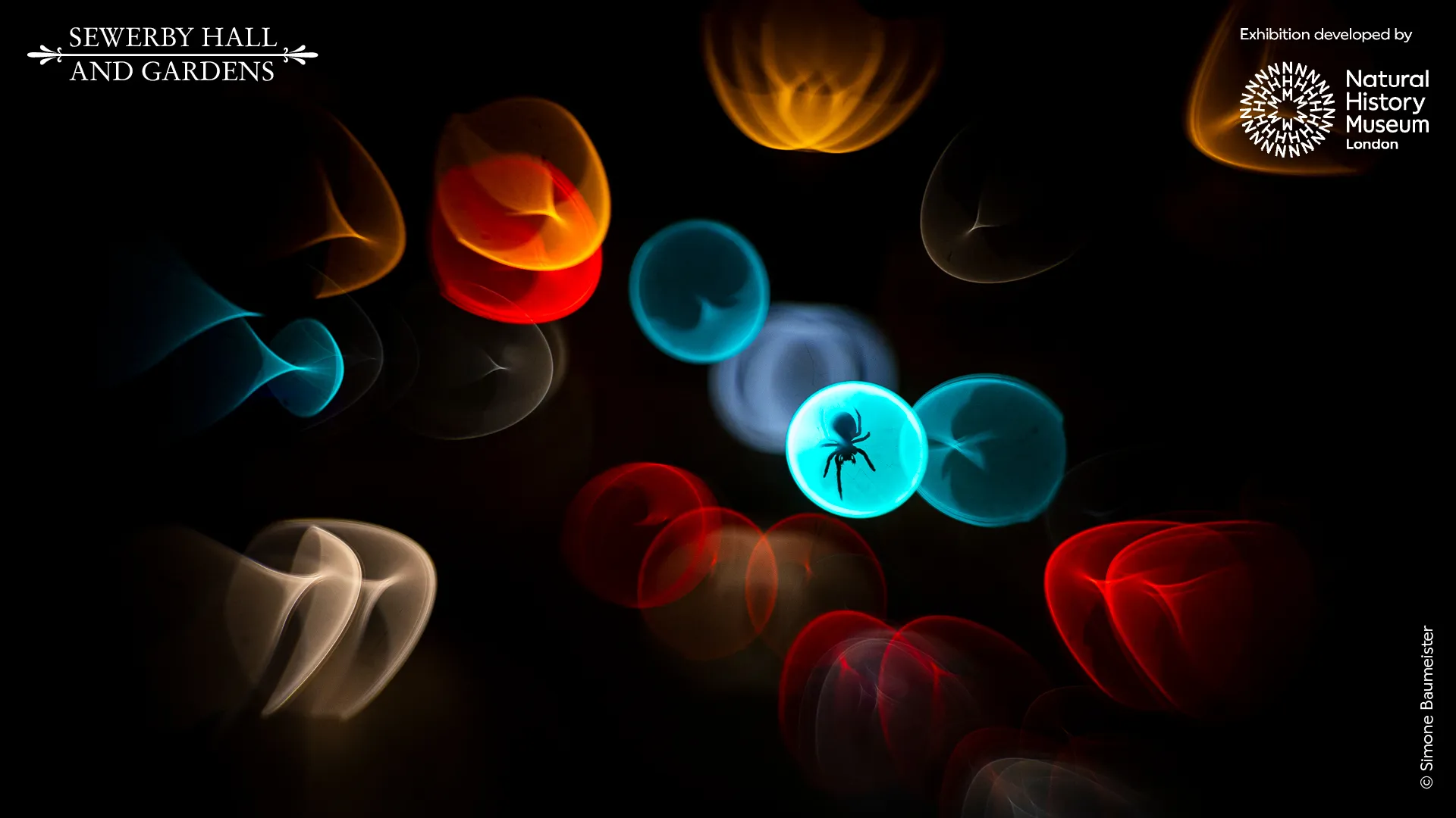 Wildlife Photographer of the Year Exhibition at Dewerby Hall in Easy Yorkshire in May, June and July 2026