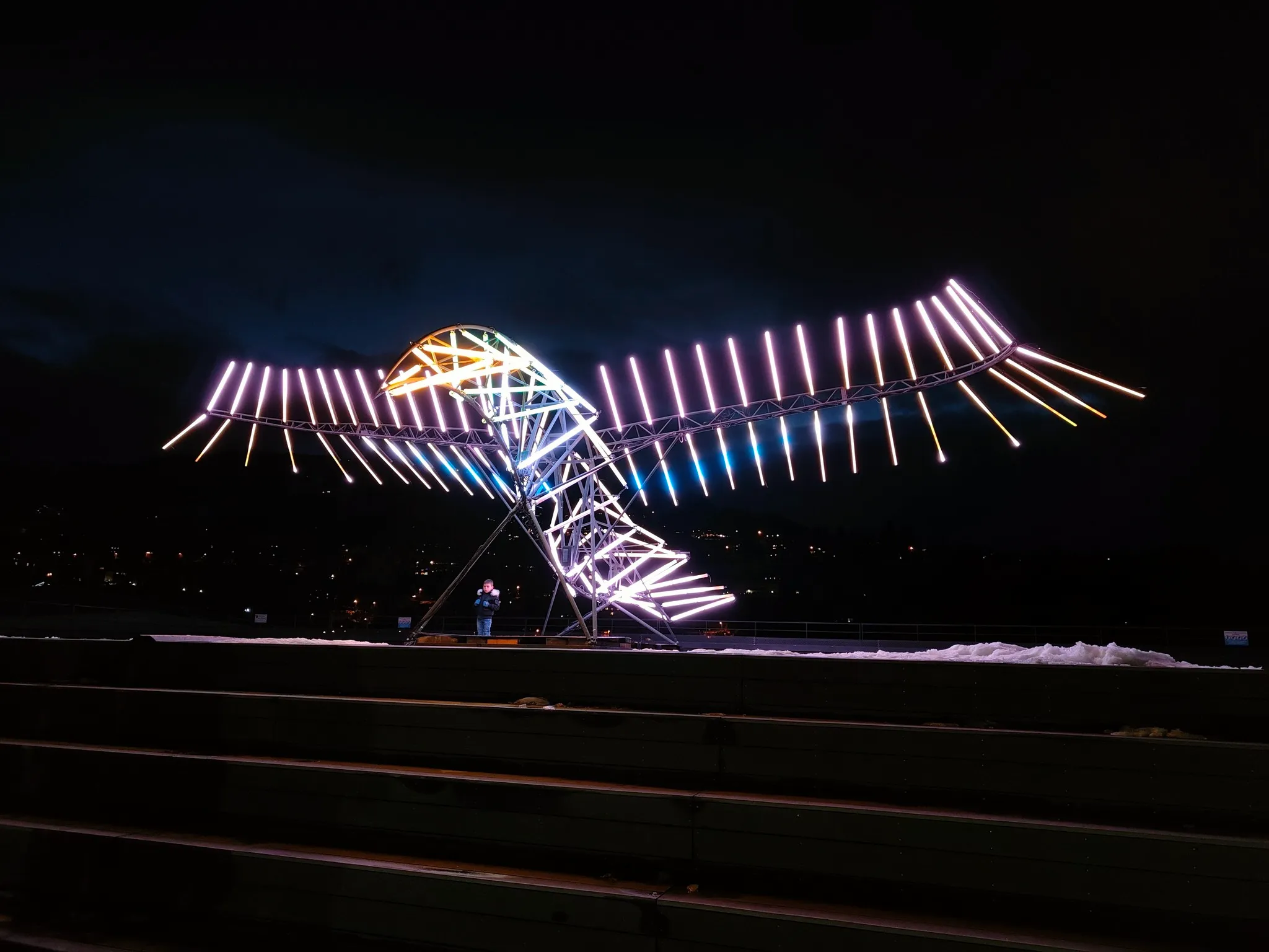 Bird made of light with wings outstretched