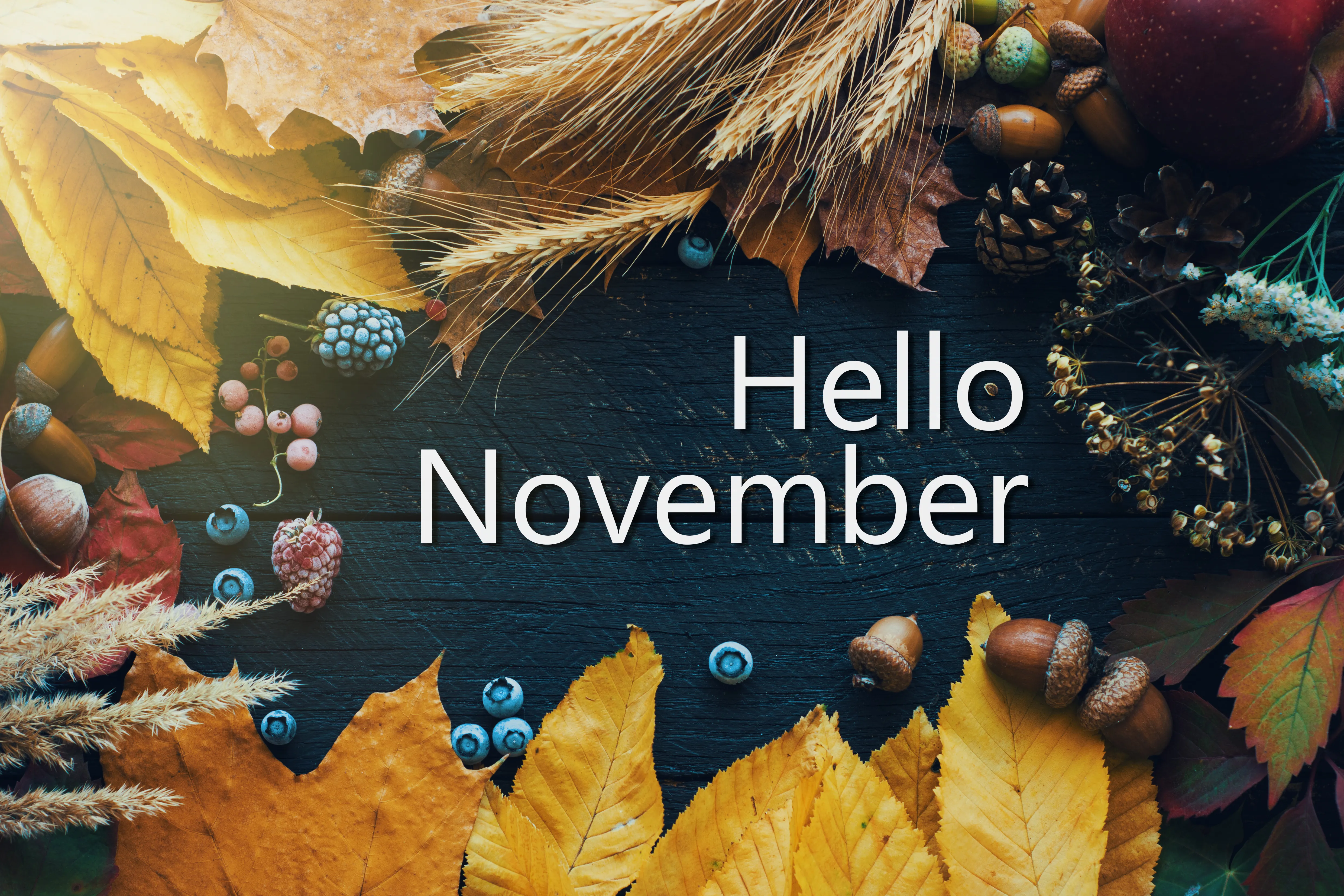 blue wood effect background with words Hello November and pine cones and autumn leaves for decoration