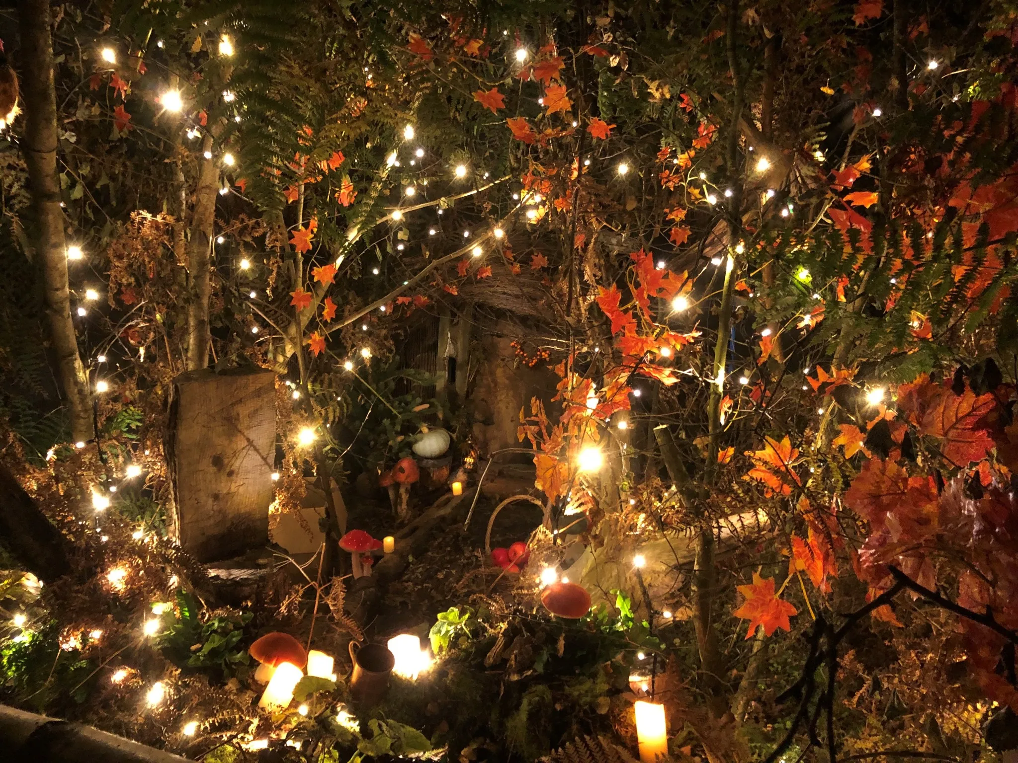sparkly lights and candles in a forest setting