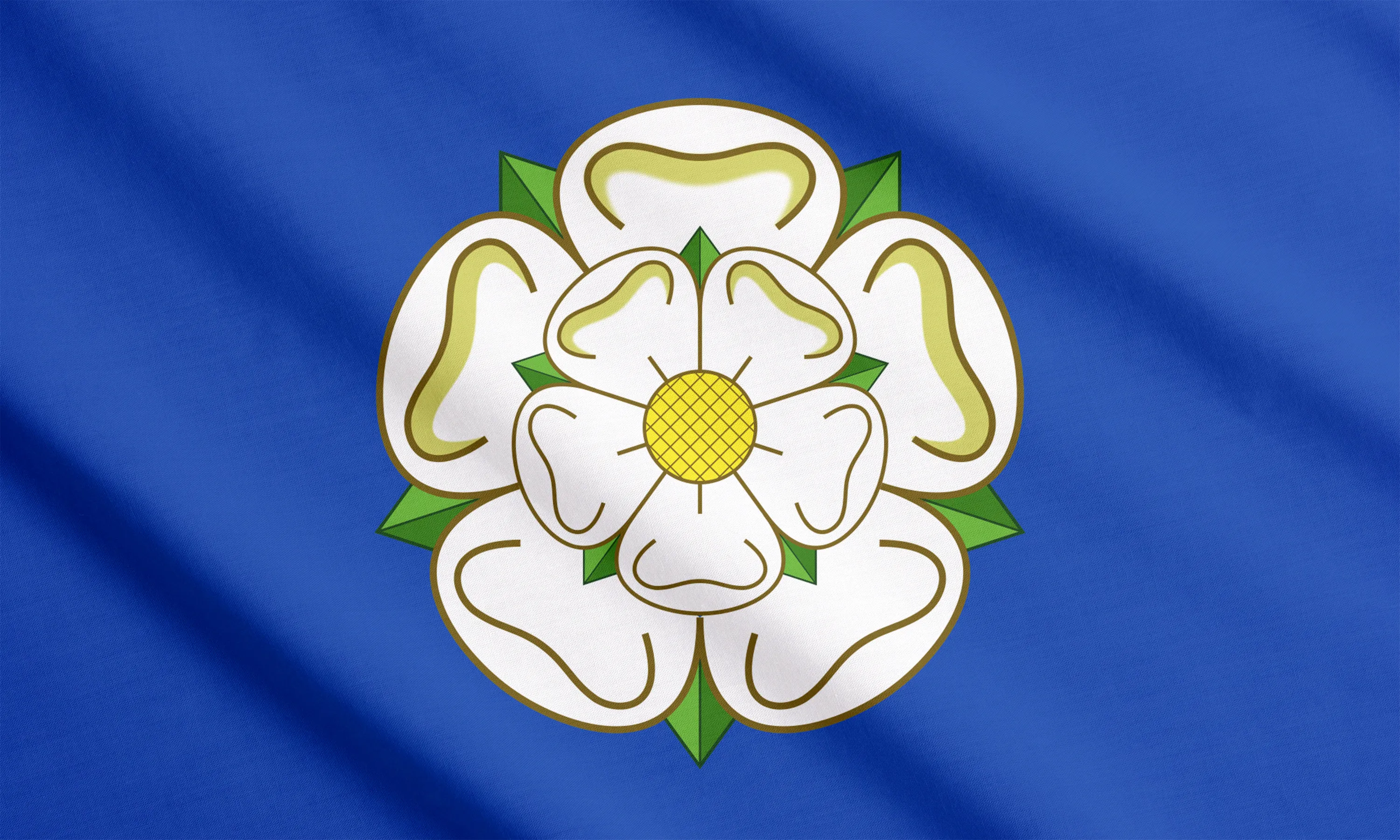 Yorkshire flag white rose on a blue background